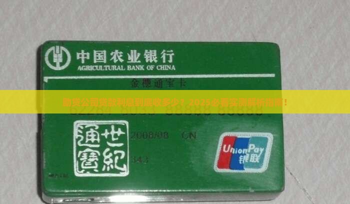 助贷公司贷款利息收多少