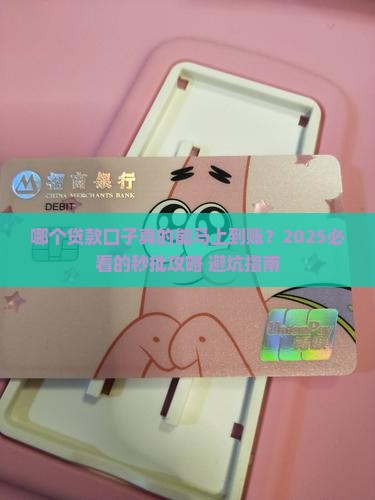 哪个贷款口子马上到账