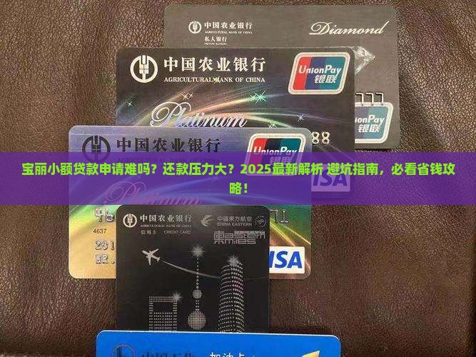 宝丽小额贷款