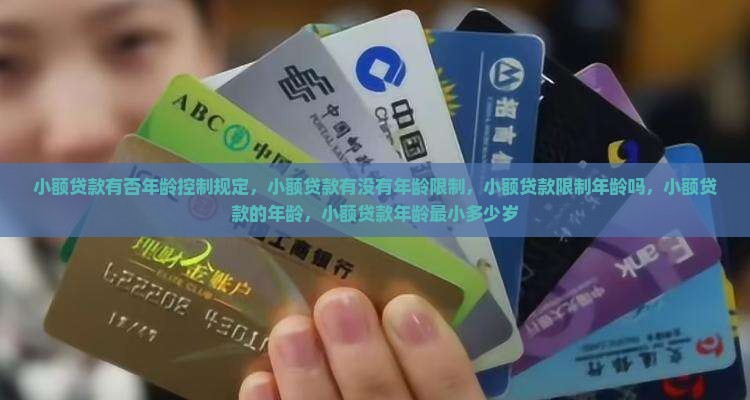 小额贷款有否年龄控制