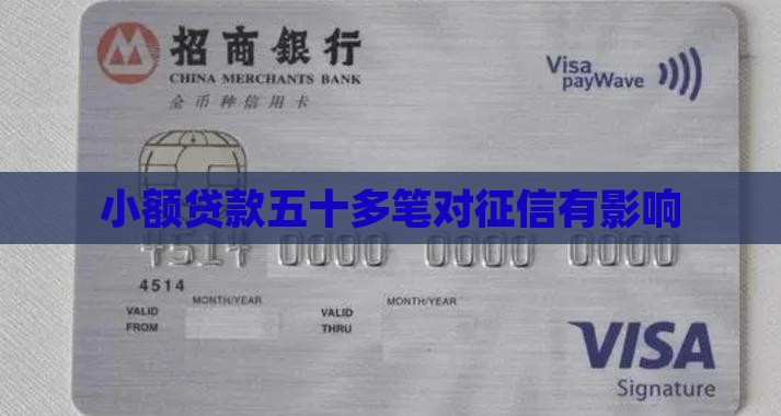 小额贷款五十多笔
