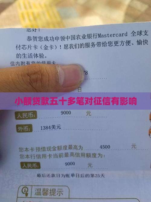 小额贷款五十多笔