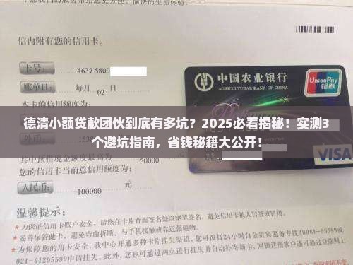 德清小额贷款团伙