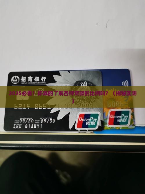各种贷款的比例