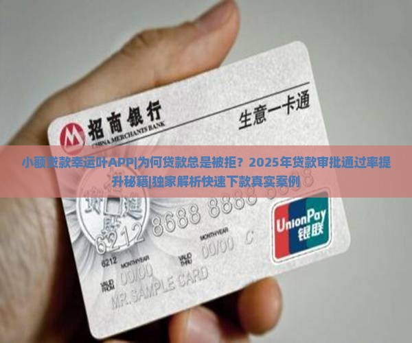 小额贷款幸运叶APP