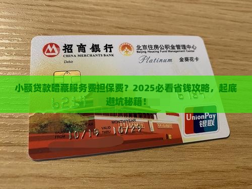 小额贷款有服务费担保费