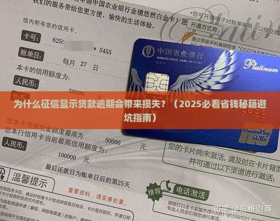 征信显示贷款逾期损失