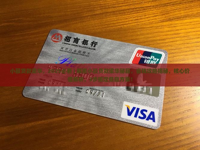 小额贷款梁华