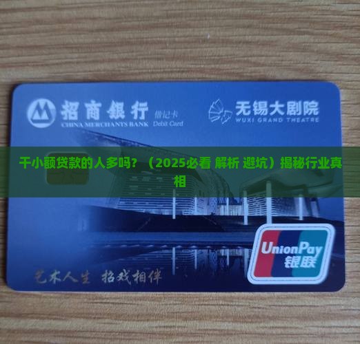 干小额贷款的人多吗