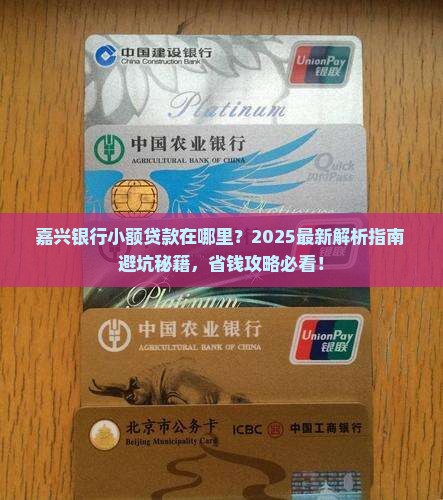 嘉兴银行小额贷款在哪里