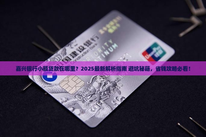 嘉兴银行小额贷款在哪里