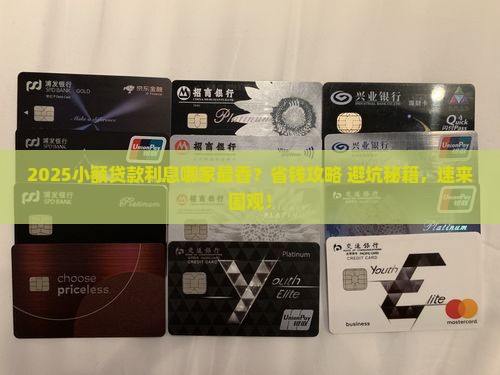 小额贷款哪家利息低点