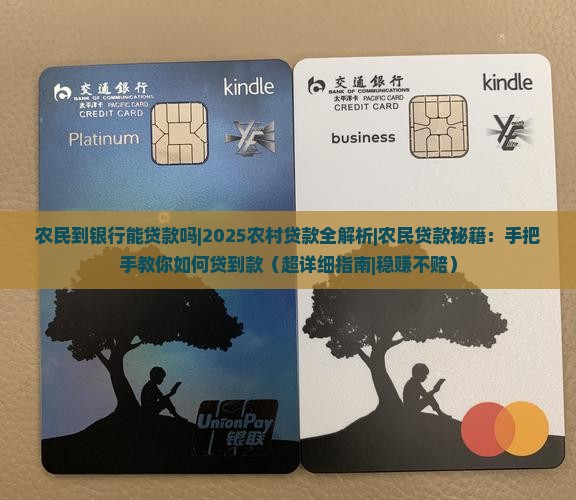 农民到银行能贷款吗