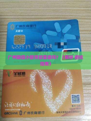 广州融信小额贷款