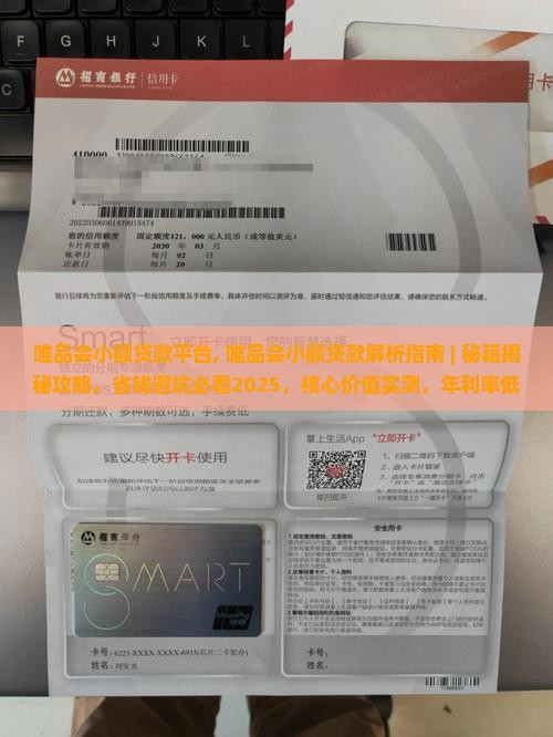 唯品会小额贷款平台