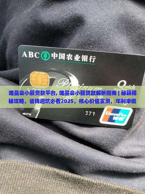 唯品会小额贷款平台