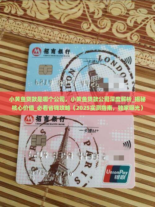 小黄鱼贷款是哪个公司