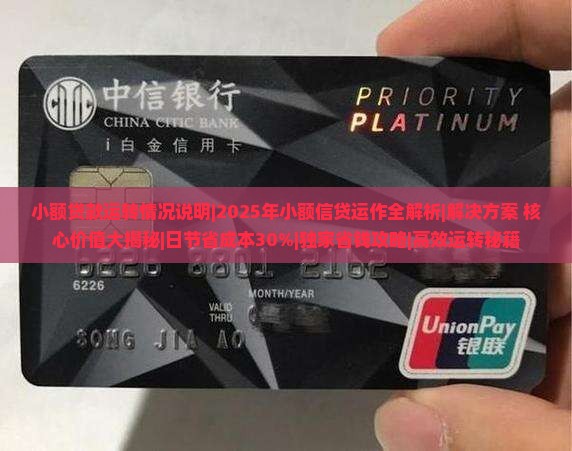 小额贷款运转情况说明