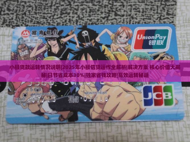 小额贷款运转情况说明