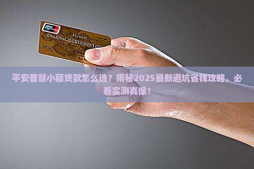 平安普慧小额贷款