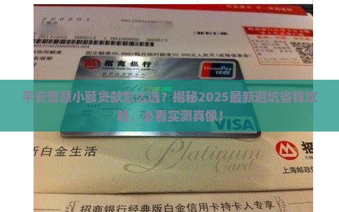 平安普慧小额贷款