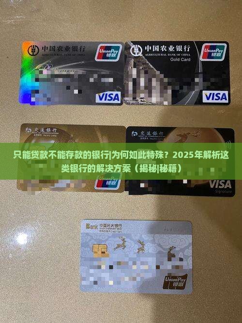 只能贷款不能存款的银行