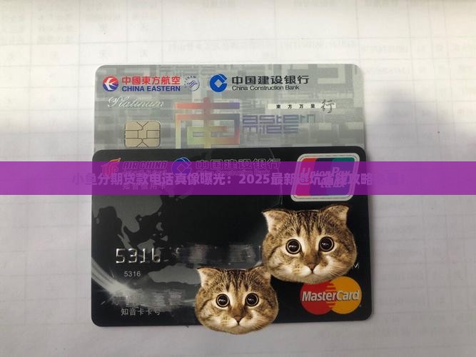 小鱼分期贷款平台电话