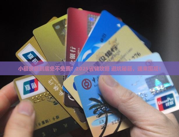 小额贷款免过桥费吗