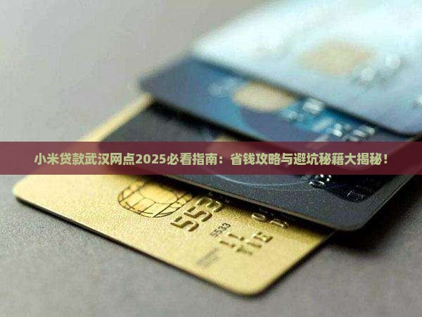 小米贷款武汉网点