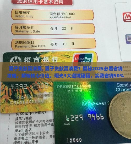 妻子贷款高消费