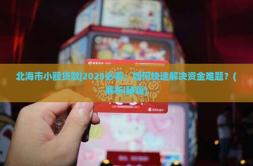 北海市小额贷款