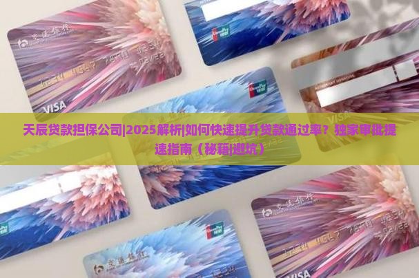 天辰贷款担保公司