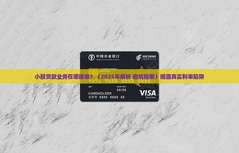 小额贷款业务在哪接收 小额贷款业务在哪接收