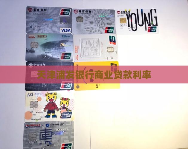 天津浦发银行商业贷款利率