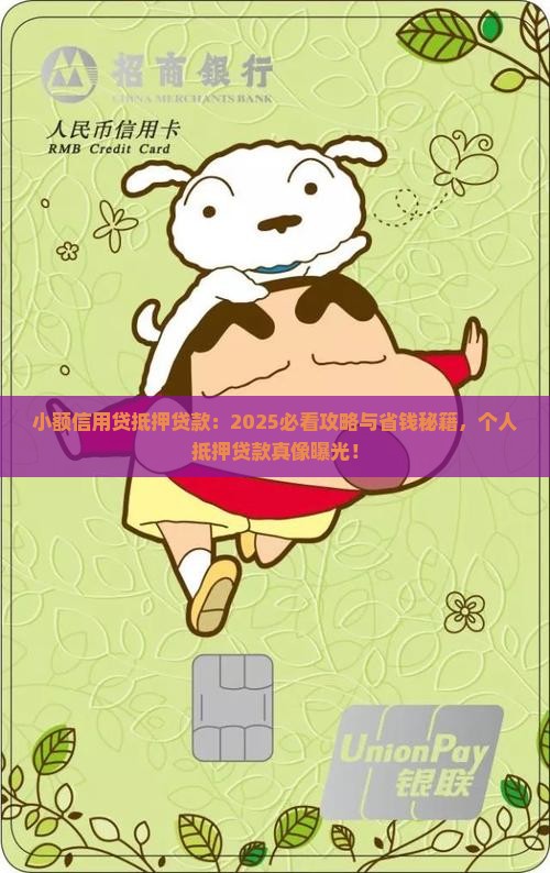 小额信用贷抵押贷款