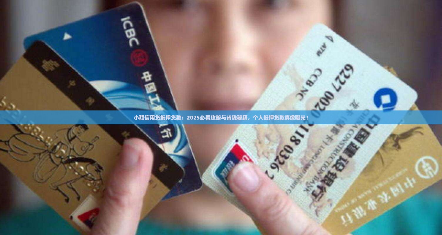 小额信用贷抵押贷款