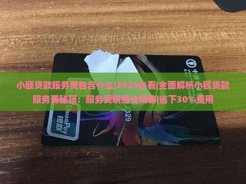 小额贷款服务费包含什么