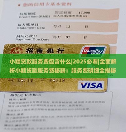 小额贷款服务费包含什么