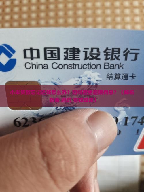小米贷款忘记还钱
