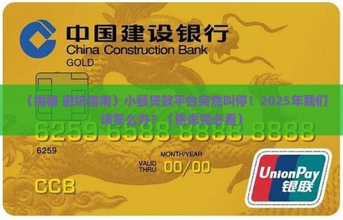 小额贷款平台叫停业务