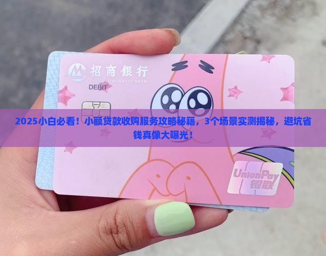 小额贷款收购服务