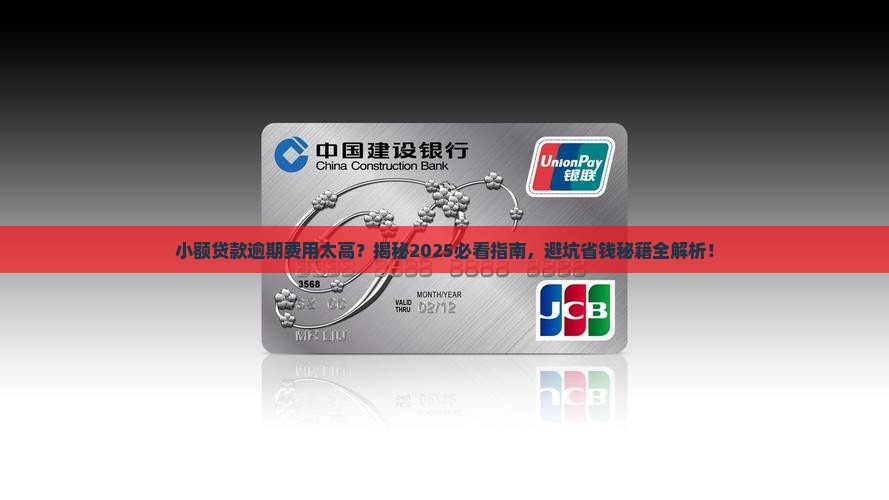 小额贷款逾期费用太高
