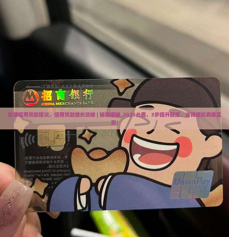 发展信用贷款建议