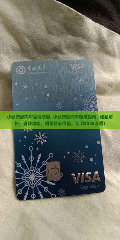 小额贷款内审后得感想