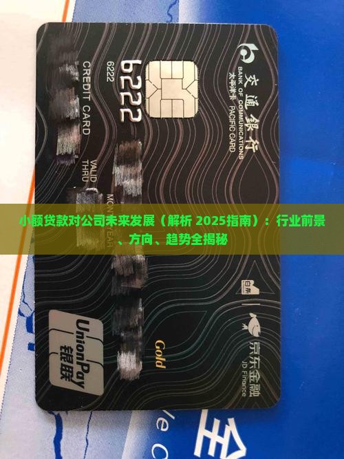 小额贷款对公司未来发展