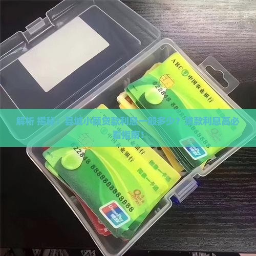 县城小额贷款利息高吗多少