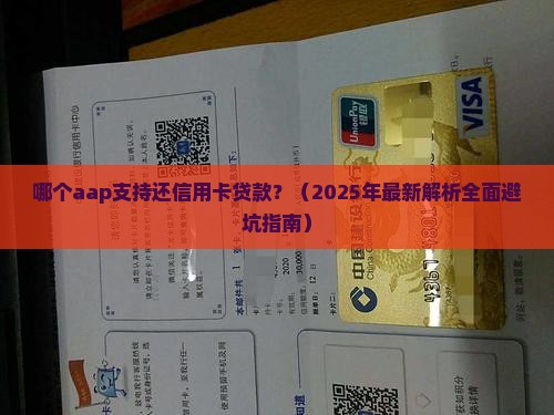 哪个aap支持还信用卡贷款