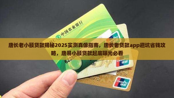 唐长老小额贷款