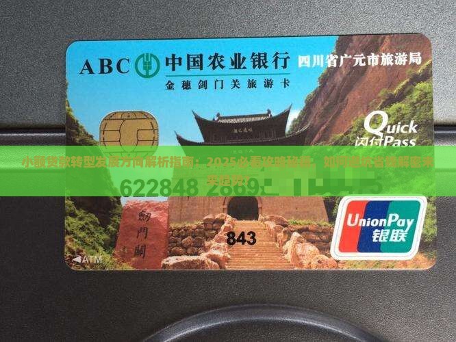 小额贷款的转型发展方向
