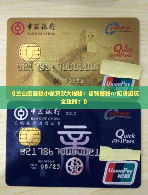 兰山区盛银小额贷款